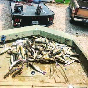 Meet your Posher, Charles